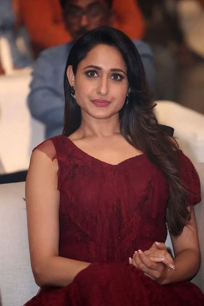 Pragya Jaiswal Stills At Telugu Movie Audio Launch In Maroon Dress